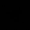 leydaris